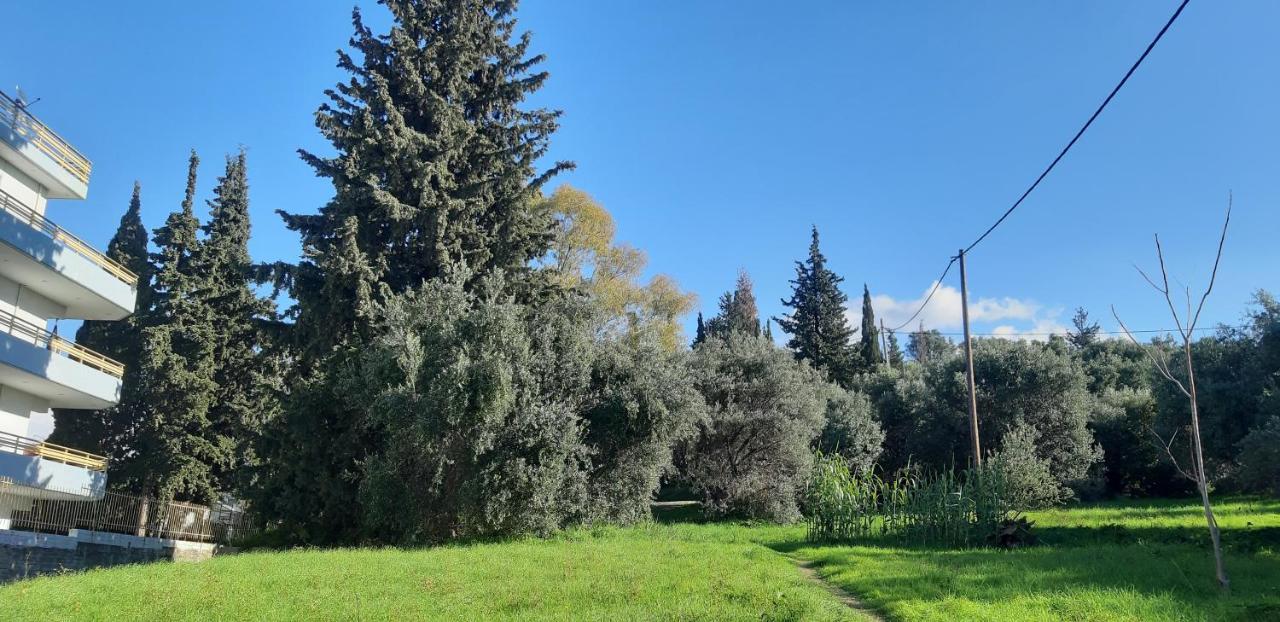 Όμορφο Studio Στην Πόλη Πάτρα Exteriér fotografie